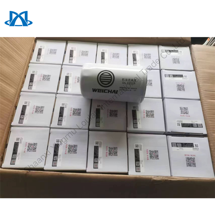 Shaanxi Automobile Delong Shacman X3000 Weichai Engine Oil Filter Element 1000428205 high quality